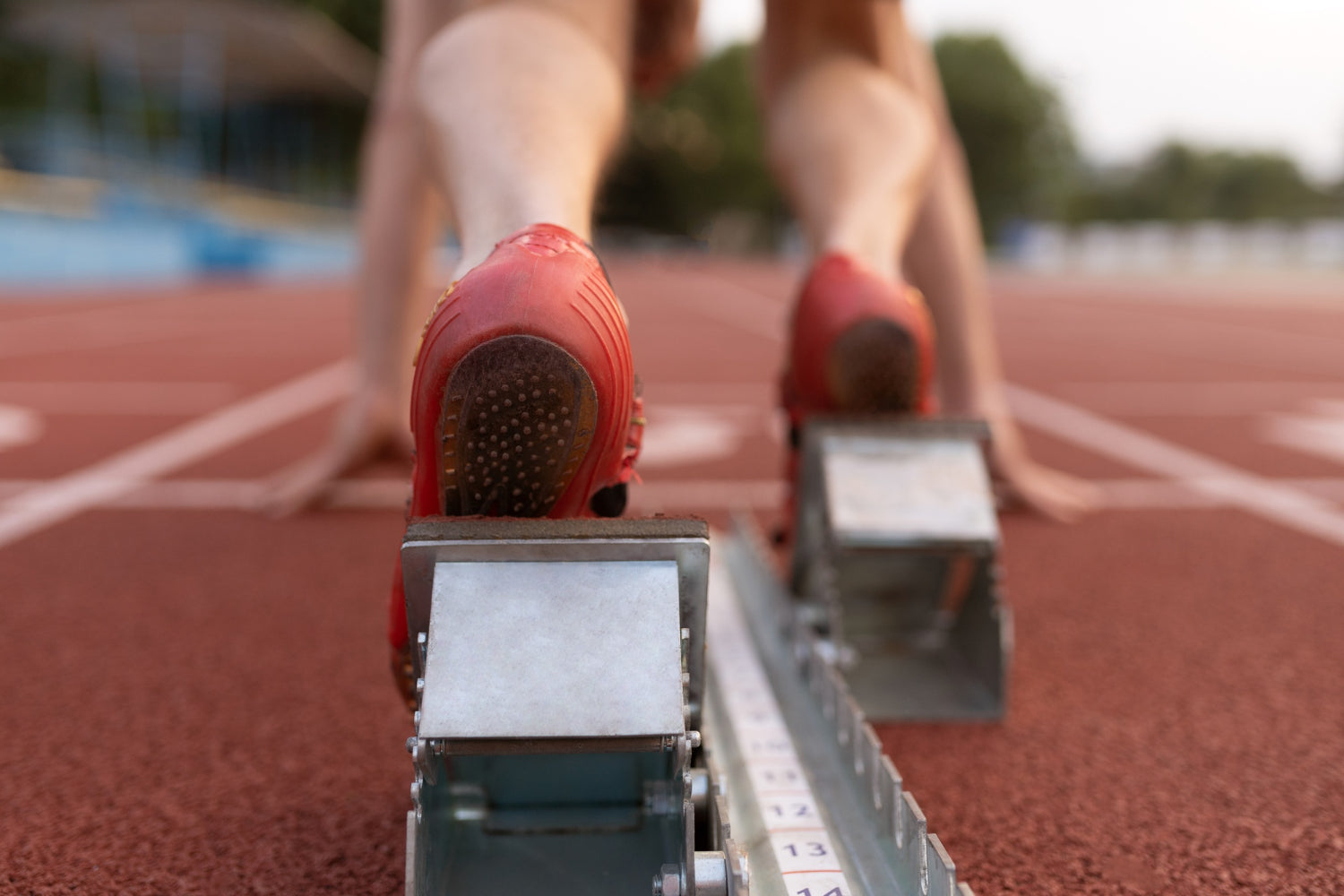 Mastering Athletic Performance: A Comprehensive Guide to Sports Nutrition